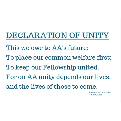 Declaration Of Unity Banner